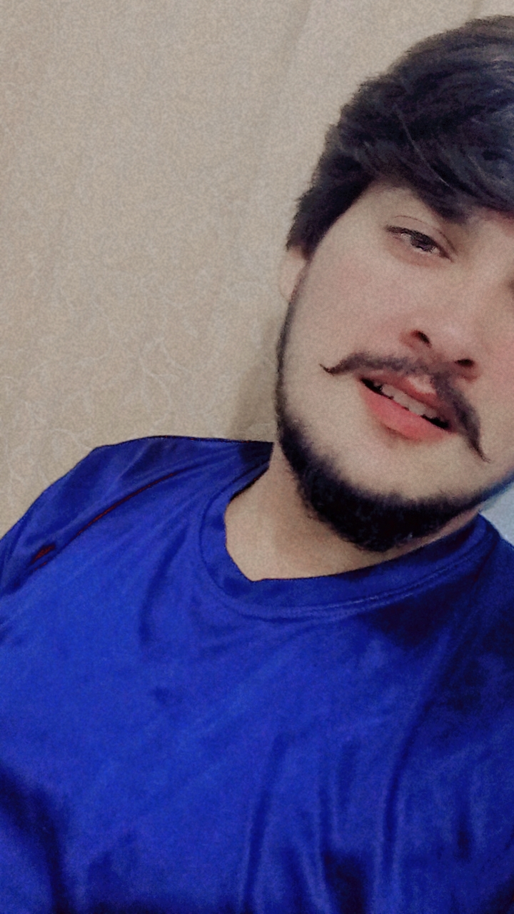 Arslan zameer