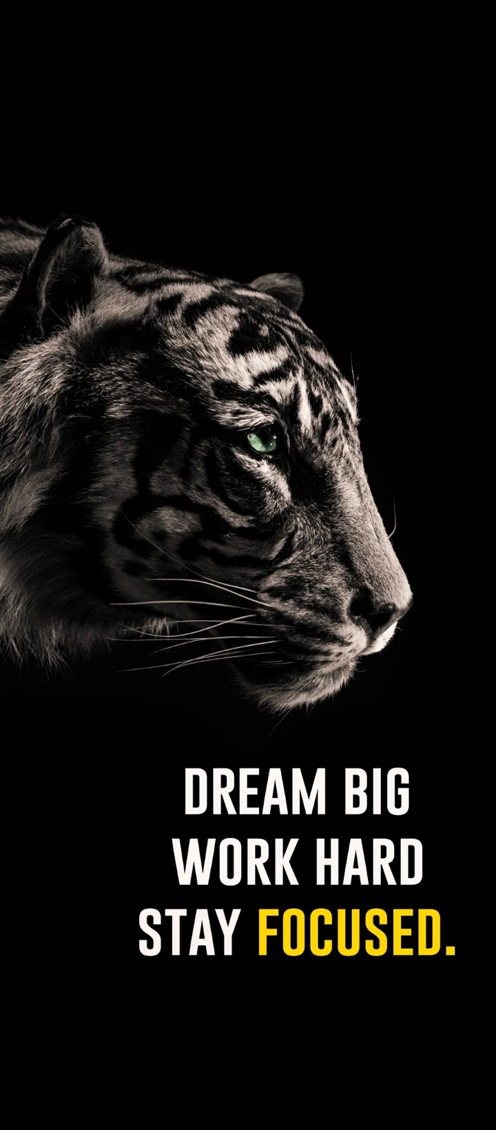 Syed Ghazi hussain Abidi 